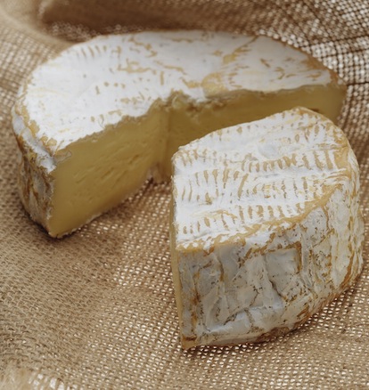 camembert_aus_der_normandie.jpg