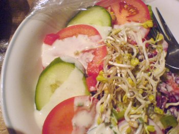 Gemischter Salat mit Sojasprossen